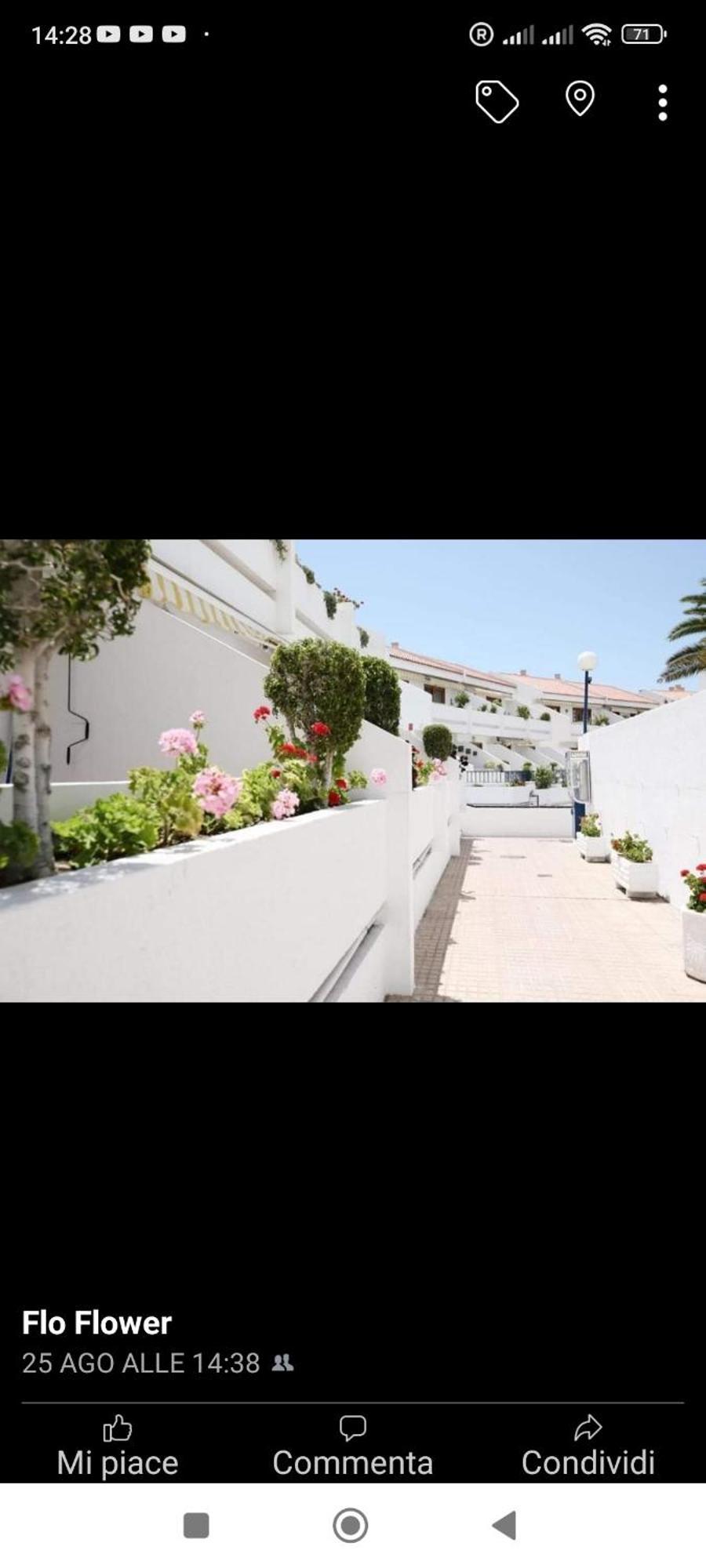 Garden City Costa Adeje  Extérieur photo